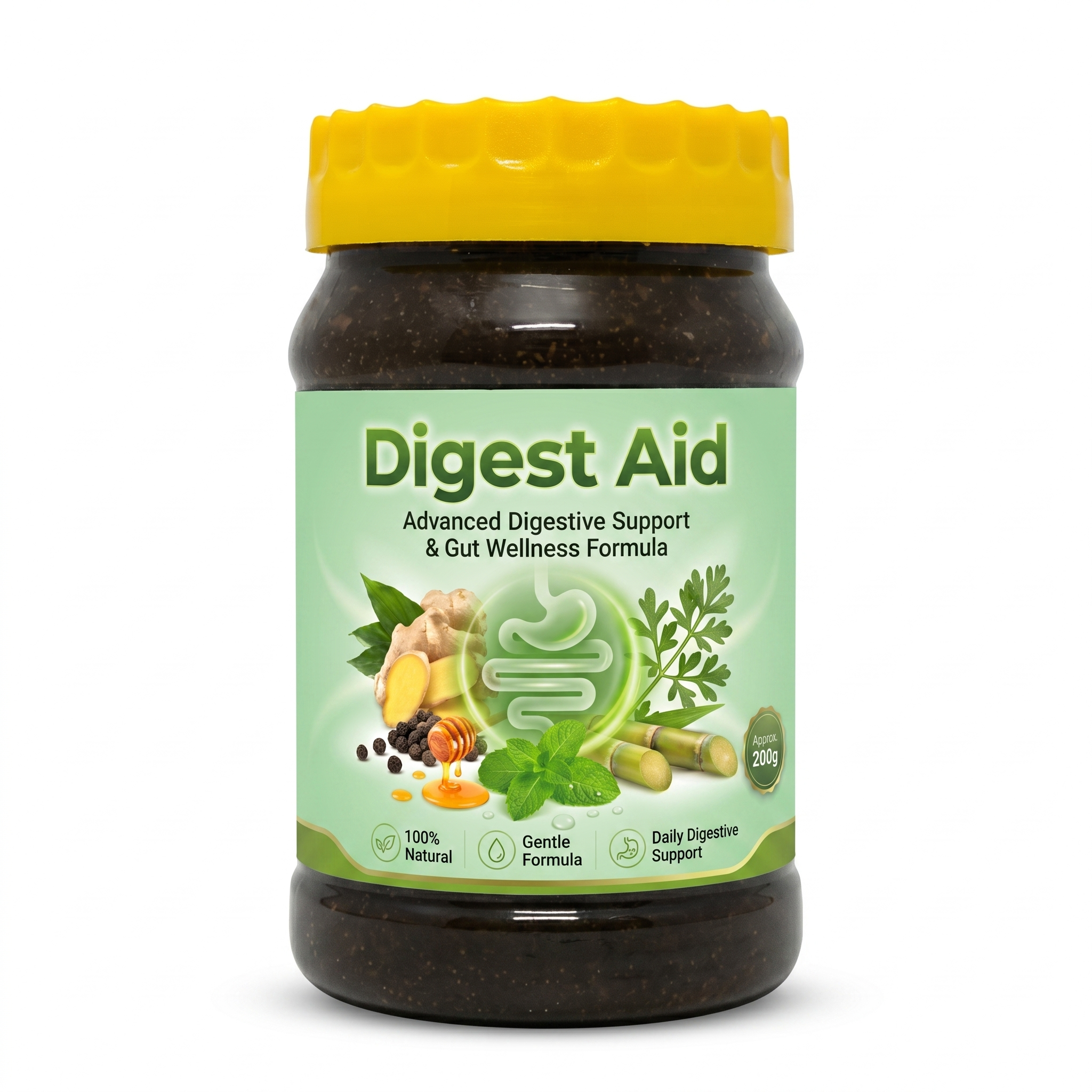 Digest Aid 1