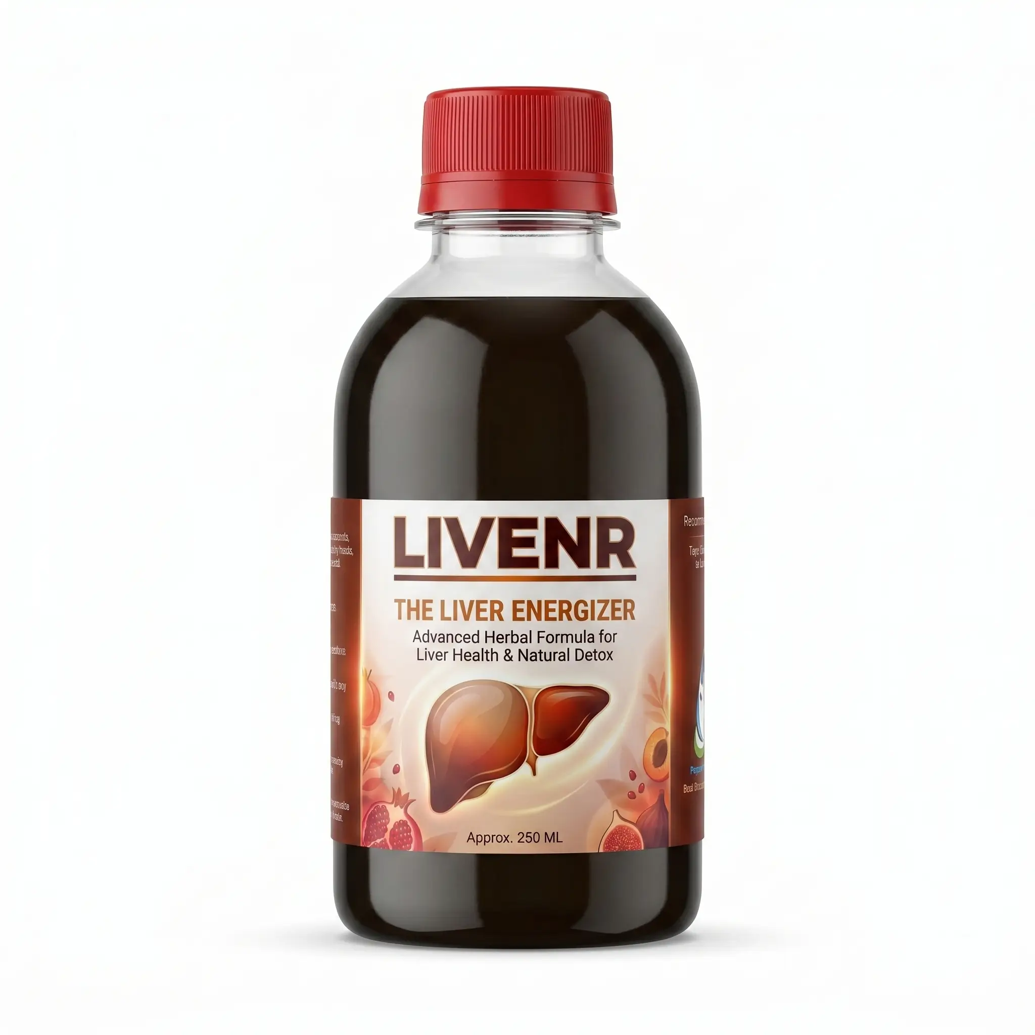 Liver